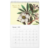 Calendrier Illustrations de fleurs botaniques élégantes de st (Feb 2027)