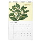 Calendrier Illustrations de fleurs botaniques élégantes de st (Jan 2027)