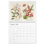 Calendrier Illustrations vintages de l'orchidée botanique 202 (Feb 2027)