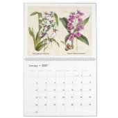 Calendrier Illustrations vintages de l'orchidée botanique 202 (Jan 2027)