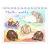 Calendrier illustré 2011 de portrait de rat (Protection)