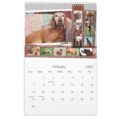 Calendrier illustré Vizsla (Feb 2027)