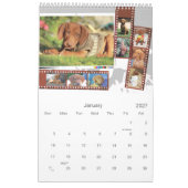 Calendrier illustré Vizsla (Jan 2027)