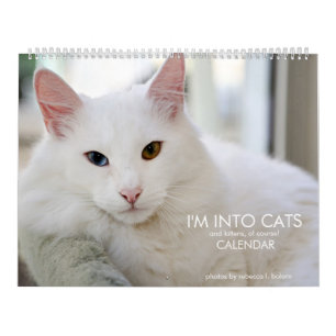 Calendrier I'm Into Cats and Kittens of Course 2020 Calendrie