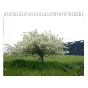 Calendrier Images d'Amérique