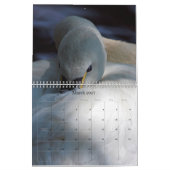 Calendrier Images de la page complète 2018 (Mar 2027)