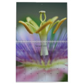Calendrier Images de la page complète 2018 (Jan 2027)