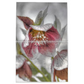 Calendrier Images de la page complète 2018 (Feb 2026)