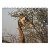 Calendrier Images de l'Afrique du Sud (Protection)
