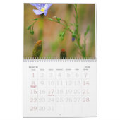 Calendrier IMG_0204 (2), Arizona le beau (Mar 2026)