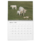 Calendrier IMG_6979, I Love Cows avec les Magnifiques... (Feb 2026)