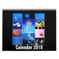 Calendrier imprimé par coutume 2019 de méduses