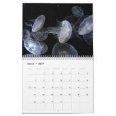 Calendrier imprimé par coutume 2019 de méduses (Mar 2027)