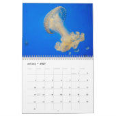 Calendrier imprimé par coutume 2019 de méduses (Jan 2027)