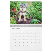 Calendrier imprimé par coutume de luxe de Yorkies (Mar 2027)
