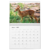Calendrier incroyable de la créature 2014 (Mar 2027)
