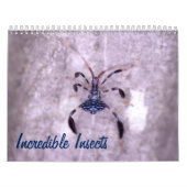 Calendrier incroyable d'insectes (Protection)
