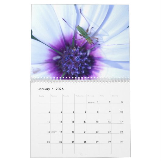 Calendrier incroyable d'insectes (Jan 2026)