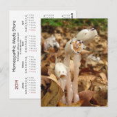 Calendrier indien du tuyau ~ carte postale (Devant / Derrière)