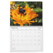 Calendrier - Insectes (Feb 2027)
