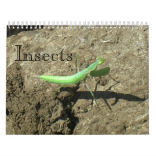 Calendrier - insectes