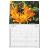 Calendrier - Insectes (Feb 2026)