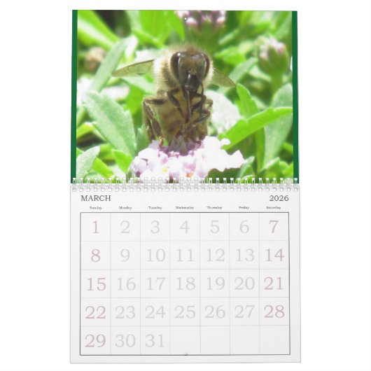 Calendrier - Insectes (Mar 2026)