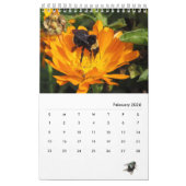 Calendrier - Insectes avec mouche (Feb 2026)