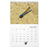 Calendrier - Insectes avec mouche (Jan 2026)