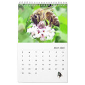 Calendrier - Insectes avec mouche (Mar 2026)