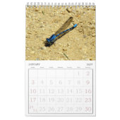 Calendrier - Insectes, vol.2 (Jan 2027)