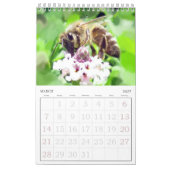 Calendrier - Insectes, vol.2 (Mar 2027)