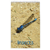Calendrier - Insectes, vol.2 (Protection)