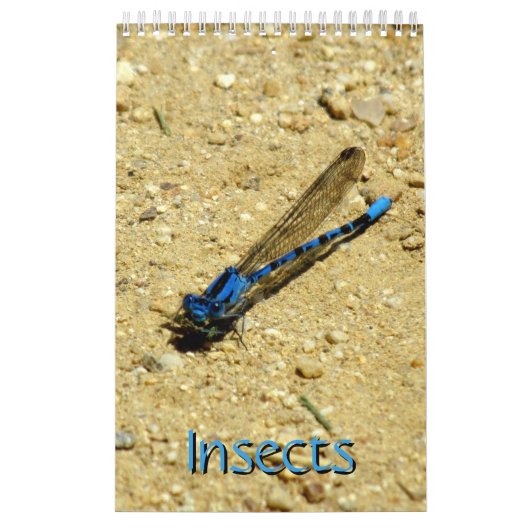 Calendrier - Insectes, vol.2 (Protection)