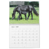 Calendrier inspirant du cheval friésien (Mar 2027)