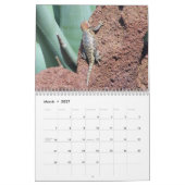 Calendrier Instantanés (Mar 2027)