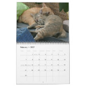 Calendrier international des chats (Feb 2027)