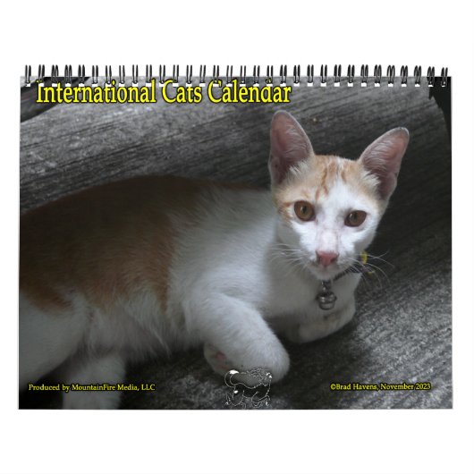 Calendrier international des chats (Protection)