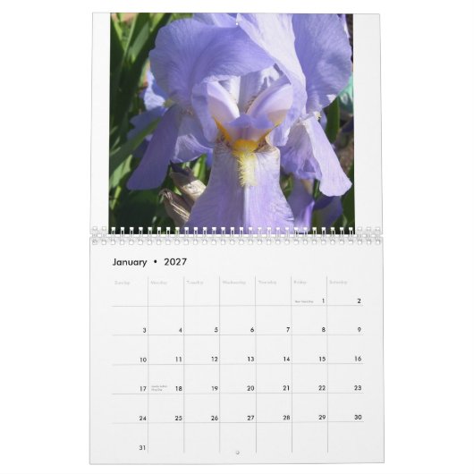 Calendrier Iris dans le jardin (Jan 2027)