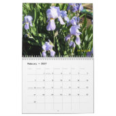 Calendrier Iris dans le jardin (Feb 2027)