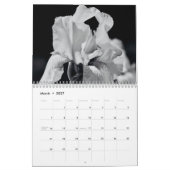 Calendrier Irises du jardin (Mar 2027)