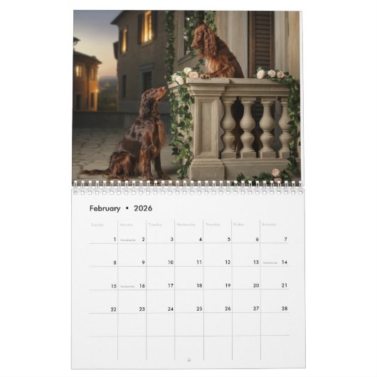 Calendrier Irish Setter Calendar (Feb 2026)