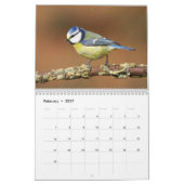 Calendrier irlandais d'oiseaux (Feb 2027)