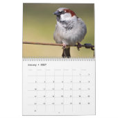 Calendrier irlandais d'oiseaux (Jan 2027)