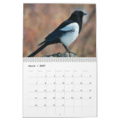 Calendrier irlandais d'oiseaux (Mar 2027)