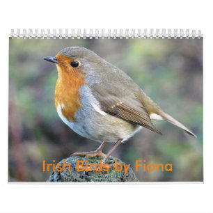 Calendrier irlandais d'oiseaux