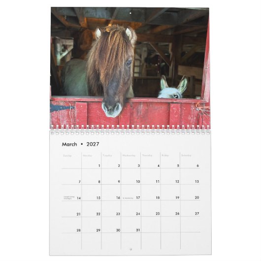 Calendrier islandais des chevaux et des petits âne (Mar 2027)