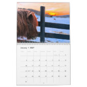 Calendrier islandais des chevaux et des petits âne (Jan 2027)