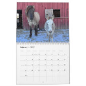 Calendrier islandais des chevaux et des petits âne (Feb 2027)