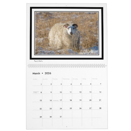 Calendrier Islande (Mar 2026)